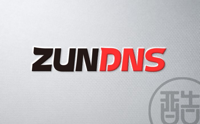 Case display of the brand LOGO of ZunDNS